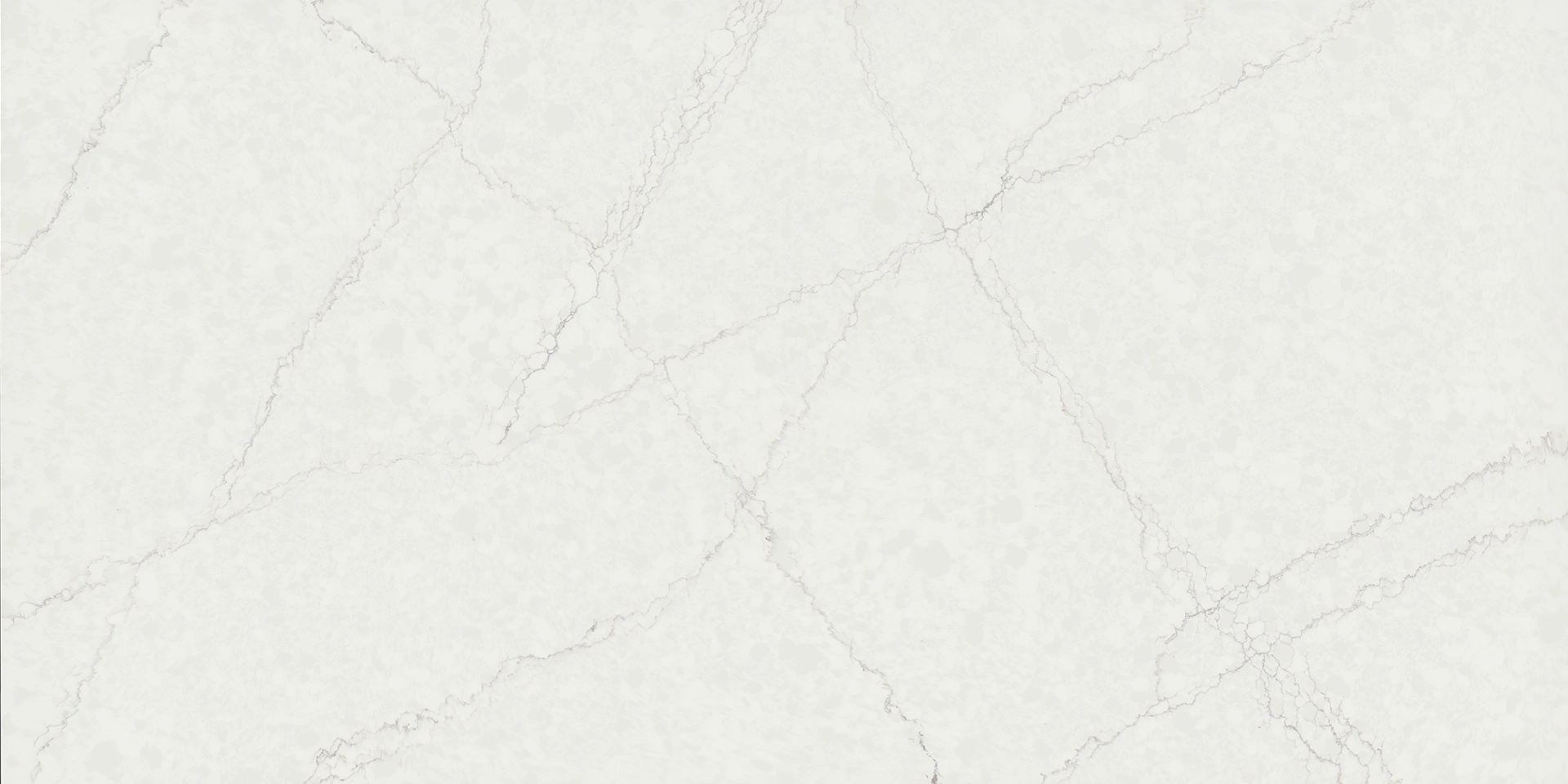 Alet White gallery 2