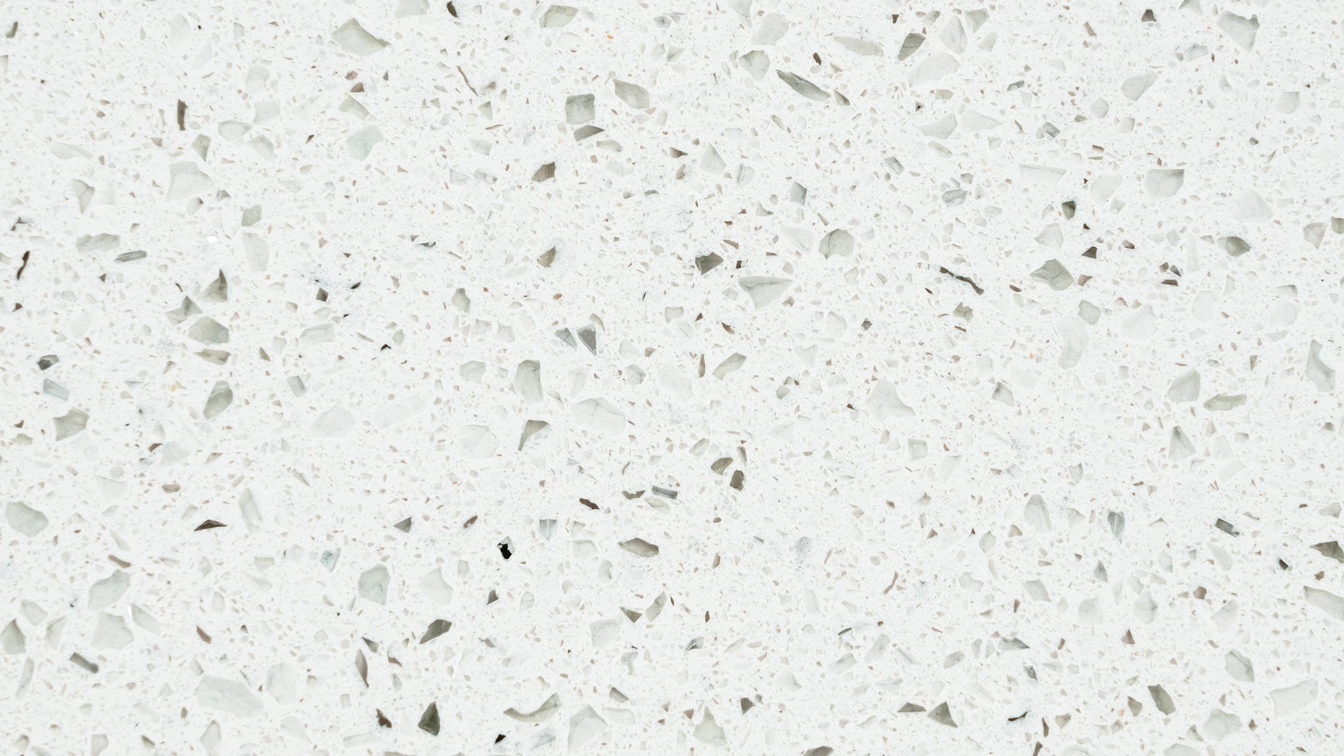 Shell White gallery 1