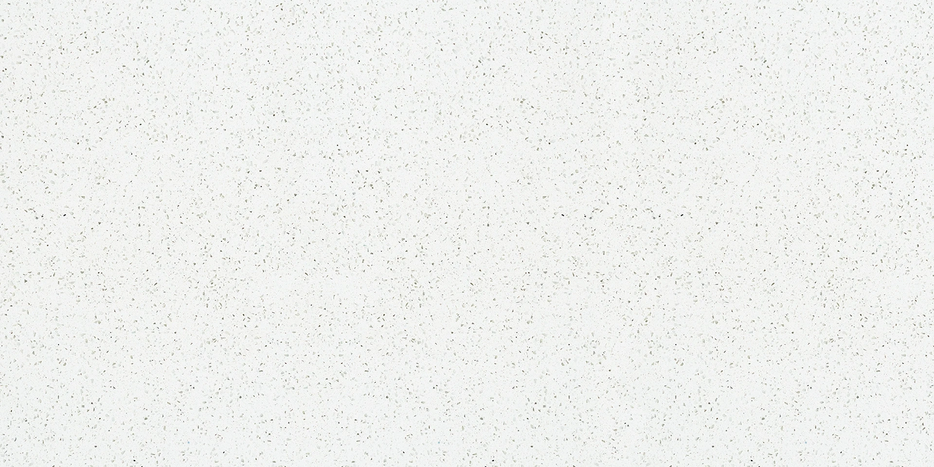 Shell White gallery 2