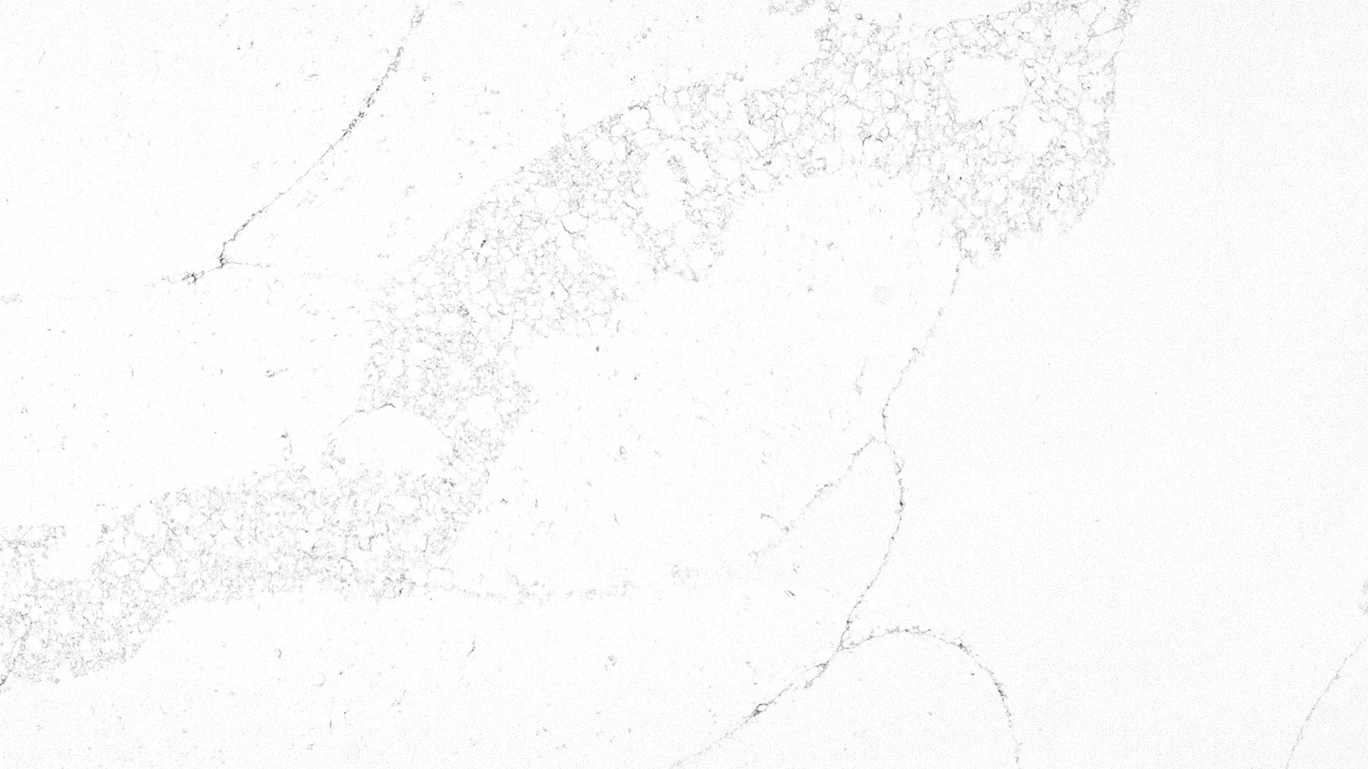Calacatta Glacier gallery 1